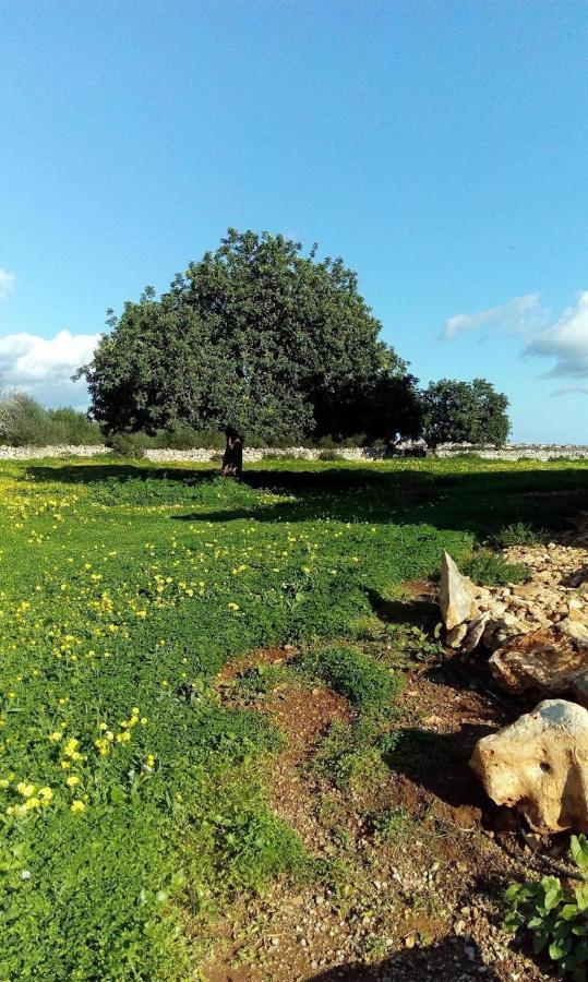 Finca Sa Sort Ferienhaus
